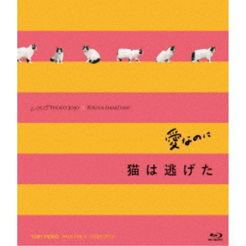 「愛なのに」「猫は逃げた」L／R15コンプリートBlu-ray 【Blu-ray】