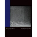 坂本龍一/Ryuichi Sakamoto Playing the Orchestra 2013 【Blu-ray】