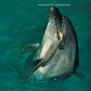 ジョー・リー・ウィルソン/ヘイ・ルック・アット・ユー《完全限定盤》 (初回限定) 【CD】
