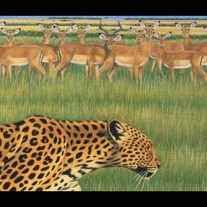 Fantastic Plastic Machine zoo  CD 