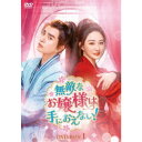 無敵なお嬢様は手におえない! DVD-BOX1 【DVD】