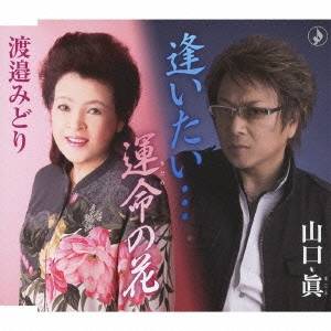 山口眞／逢いたい…／運命の花 【CD】