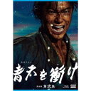 商品種別Blu-ray※こちらの商品はBlu-ray対応プレイヤーでお楽しみください。発売日2021/12/17ご注文前に、必ずお届け日詳細等をご確認下さい。関連ジャンル映画・ドラマ国内ドラマ永続特典／同梱内容封入特典：特製ブックレット 20P■映像特典家康コーナー メイキング／パリ編VFX メイキング商品概要シリーズ解説幕末から昭和へ---／時代の大渦に翻弄され、挫折を繰り返しながらも、高い志を持って未来を切り開いた渋沢栄一の生涯を描く『大河ドラマ 青天を衝け』天保11(1840)年、武蔵国・血洗島村。藍玉づくりと養蚕を営む百姓の家に、栄一は生まれた。おしゃべりで物おじしないやんちゃ坊主は、父・市郎右衛門の背中に学び、商売のおもしろさに目覚めていく。ある日、栄一は御用金を取り立てる代官に理不尽に罵倒され、官尊民卑がはびこる身分制度に怒りを覚える。従兄の惇忠や喜作とともに尊王(そんのう)攘夷(じょうい)に傾倒、攘夷計画を企てるも長七郎の猛反対にあい、あえなく断念。栄一は逆に幕府に追われる立場となり、喜作と一緒に京へ逃げる。彼らに助け船を出したのは、一橋慶喜の側近・平岡円四郎だった。幕府に捕らわれて死ぬか、一橋の家臣となるか---「生き延びればいつか志を貫ける」。この選択が、栄一の運命を変えていく…。スタッフ&amp;キャスト大森美香(作)、佐藤直紀(音楽)、杉本博司(題字)、菓子浩(制作統括)、福岡利武(制作統括)、黒崎博(演出)、村橋直樹(演出)、松木健祐(演出)、田中健二(演出)、川野秀昭(演出)、尾崎裕人(演出)、渡辺哲也(演出)、鈴木航(演出)、田島彰洋(演出)守本奈実、吉沢亮、高良健吾、橋本愛、田辺誠一、満島真之介、村川絵梨、成海璃子、岡田健史、藤野涼子、草なぎ剛、大谷亮平、要潤、小池徹平、美村里江、原日出子、手塚理美、朝加真由美、峯村リエ、渡辺大知、磯村勇斗、川栄李奈、上白石萌音、北大路欣也、竹中直人、岸谷五朗、渡辺いっけい、津田寛治、平泉成、和久井映見、木村佳乃、平田満、玉木宏、堤真一、小林薫、志尊淳、福士誠治、山崎育三郎、町田啓太、山内圭哉、波岡一喜、尾上寛之、尾上右近、ディーン・フジオカ、武田真治、池田成志、博多華丸、石丸幹二、イッセー尾形、大島優子、笠松将、泉澤祐希、小野莉奈、朝倉あき、仁村紗和、板垣李光人、犬飼貴丈、小倉久寛、忍成修吾、大倉孝二、金井勇太、中村芝翫商品番号NSBX-25029販売元NHKエンタープライズ組枚数4枚組収録時間636分色彩カラー字幕バリアフリー日本語字幕制作年度／国日本画面サイズ16：9音声仕様リニアPCMステレオコピーライト(C)2021 NHK _映像ソフト _映画・ドラマ_国内ドラマ _Blu-ray _NHKエンタープライズ 登録日：2021/10/01 発売日：2021/12/17 締切日：2021/11/18