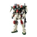 ROBOT魂 ＜SIDE MS＞ 『機動戦士ガンダムSEED』 GAT-X103 バスターガンダム ver. A.N.I.M.E.フィギュア