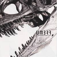 ブンブンサテライツ／UMBRA 【CD】