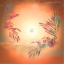 LEISURE CHILDREN/TINY BIG 【CD】