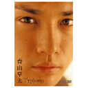 青山 草太 Typhoon (初回限定) 【DVD】