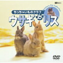 シンフォレストDVD ウサギとリス/ちっちゃいものクラブ 【DVD】