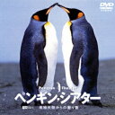 シンフォレストDVD ペンギン シアター 南極大陸からの贈り物 【DVD】