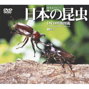 シンフォレストDVD 日本の昆虫 ［DVD映像図鑑］ 【DVD】