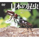 シンフォレストDVD 日本の昆虫 ［DVD映像図鑑］ 