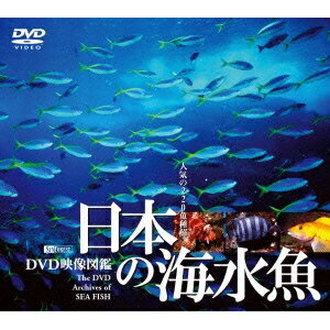シンフォレストDVD 日本の海水魚 ［DVD映像図鑑］ 【DVD】