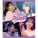 芹澤優/Yu Serizawa 5th Live Tour 2024 ~My Room Fantasy~ 【Blu-ray】