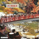 osayoinu/あい香嵐渓 【CD】
