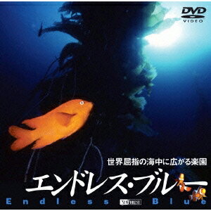 商品種別DVD発売日2004/07/01ご注文前に、必ずお届け日詳細等をご確認下さい。関連ジャンル趣味・教養永続特典／同梱内容■映像特典クマノミ特集／カラフルな魚たち商品番号SDA-34販売元シンフォレスト組枚数1枚組収録時間60分色彩カラー字幕日制作年度／国2004／日画面サイズワイド音声仕様サウンド：ドルビーデジタル5.1ch、日：ドルビーステレオ _映像ソフト _趣味・教養 _DVD _シンフォレスト 登録日：2005/08/16 発売日：2004/07/01 締切日：2004/06/09