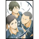 【9/11まで! 最大1000円OFFクーポン】ハイキュー!! 烏野高校 VS 白鳥沢学園高校 Vol.4 【Blu-ray】