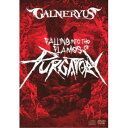 GALNERYUS／FALLING INTO THE FLAMES OF PURGATORY《完全生産限定版》 (初回限定) 【DVD】