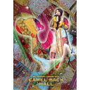 豊崎愛生／豊崎愛生 コンサート2021〜Camel Back hall〜 【Blu-ray】