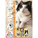 はっちゃん the movie 【DVD】