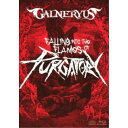 GALNERYUS／FALLING INTO THE FLAMES OF PURGATORY《完全生産限定版》 (初回限定) 【Blu-ray】