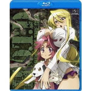 学園黙示録 HIGHSCHOOL OF THE DEAD 4 【Blu-ray】
