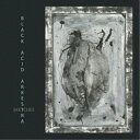 ブラック・アシッド・アーケストラ/Sketches 【CD】