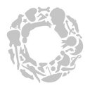 鈴村健一/互 【CD】