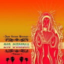 (V.A.)/213 クンビ 【CD】