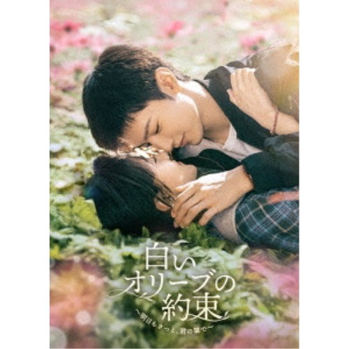 商品種別DVD発売日2027/01/152026/11/15 AM6:00 までのご注文で【発売日にお届けいたします】ご注文前に、必ずお届け日詳細等をご確認下さい。関連ジャンル映画・ドラマ海外ドラマアジア永続特典／同梱内容封入特典：ストーリーリーフレット商品概要本編480分商品番号KEDV-1020販売元TCエンタテインメント組枚数6枚組収録時間480分 _映像ソフト _映画・ドラマ_海外ドラマ_アジア _DVD _TCエンタテインメント 登録日：2026/09/28 発売日：2027/01/15 締切日：2026/11/15