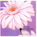 【~7/6まで!! 最大2000円OFFクーポン!!】神山純一/ジャズで聴く宇多田ヒカル作品集2 【CD】