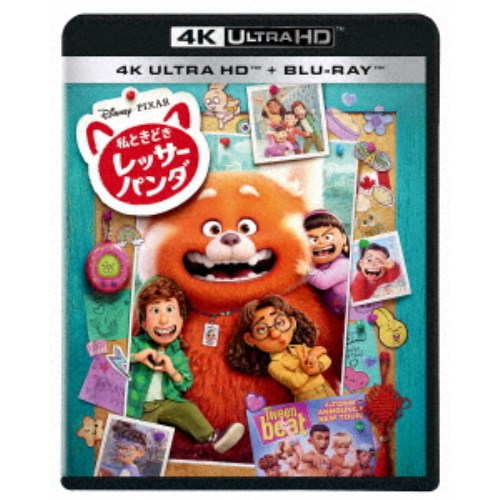 私ときどきレッサーパンダ UltraHD《UHDBD※専用プレーヤーが必要です》 【Blu-ray】
