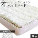 【11/1限定!クーポンで11%OFF】ベッドパッド 厚手 オーガニックコットン わた入り 安心安全なオーガニック 綿スムース生地 ベッドパット ベットパット