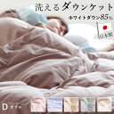 楽天眠りのひろば【ふとんの江崎】羽毛肌掛け布団 ダウンケット ダブル 190×210cm ウォッシャブル 国産 春用 夏用 秋用 ホワイトダウン85％ 0.35kg入り 洗える ダウンケット 羽毛肌掛けふとん 羽毛布団 羽毛ふとん 日本製 京都金桝