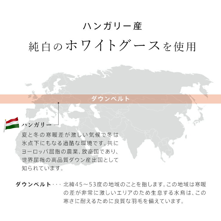 【期間限定エントリーでP10倍】ハンガリーグース 羽毛肌掛け布団 ダウンケット グース 洗える ハンガリー産 ホワイトグースダウン93％ ウォッシャブル シングル 綿100％ 超長綿 春用 夏用 秋用 羽毛肌掛けふとん 羽毛布団 日本製 国産