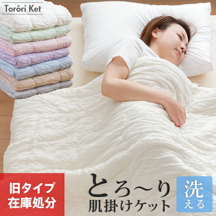【旧タイプ/アウトレット】【エントリーでP10倍】洗える 肌掛け布団 とろ〜りケット シングル セミダブル ダブル 正規 春用 夏用 秋用 マシュマロケット 肌布団 レーヨンケット キルトケット とろーりケット エアコン 雲ケット ギフトのサムネイル