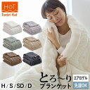 【クーポンで30%OFF&エントリーでP10倍】【レビューでとろーり枕カバー】 ホット とろーりケット 毛布 ブランケット あったか 洗える 正規 秋 冬 エアロゲル モコモコ ふわとろ毛布 フランネル レーヨンケット とろーりケット とろとろケット とろりケット ギフト