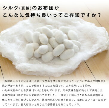 【割引品】真綿布団 肌掛けタイプ 0.5kg シングル シルク 絹 真綿肌掛け布団 掛け布団 2重ガーゼ生地 真綿ふとん 真わた 日本製