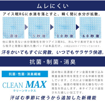 【47%OFF】 アイス眠 RGピローパッド 43×63cm 夏用 ひんやり 枕パット レギュラー 涼感 冷感 枕カバー アイスミン ロマンス小杉