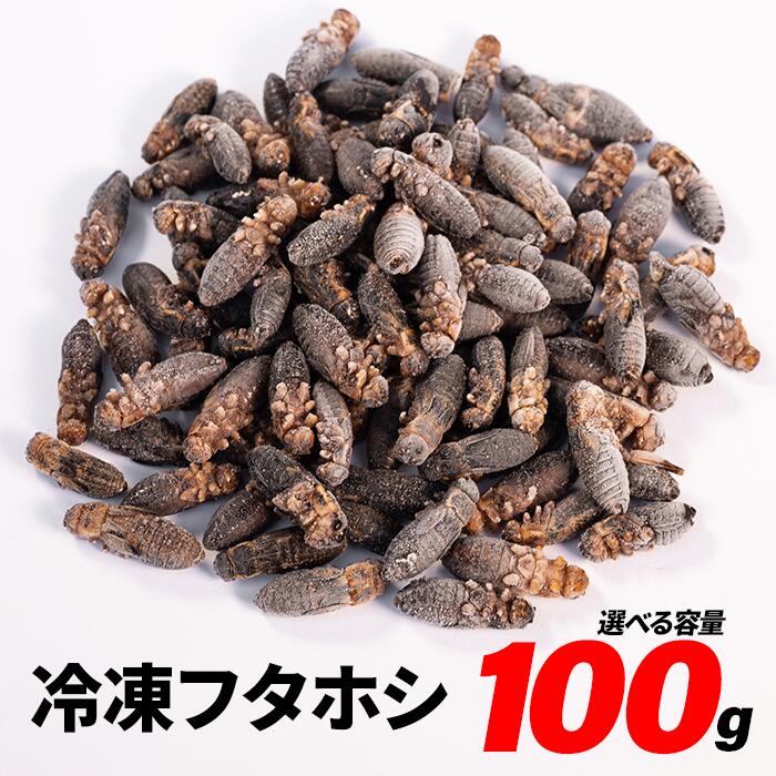 キョーリン　カメプロス　550g×5袋　（大スティック　甲長8cm以上用）　餌　エサ　お一人様4点限り【HLS_DU】　関東当日便