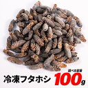 冷凍コオロギ ML 100g 300g 500g 1kg 送料無料 2cm程度 エサラボ 冷凍フタホ ...