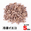 冷凍コオロギ S 20g 40g 100g 送料無料 1cm程 エサラボ 冷凍イエコ 冷凍ヨーロッパ ...