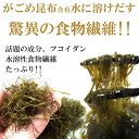 【送料無料 がごめ昆布】細切りがごめ昆布 50g×10ヶプラス1ヶ※断然お得パック【きざみ】【がごめ昆布 ネバネバ】【送料無料】【RCP】gagome 2