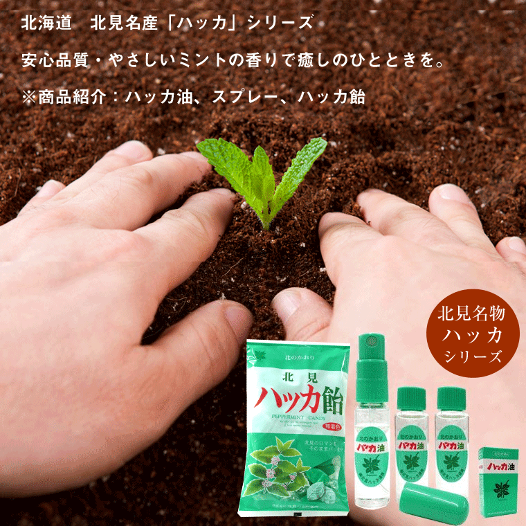 /ハッカ油スプレー用詰め替え(本体無し)12mltimes;2本送料無料ネコポス便北海道北見ハッカ油/国産/虫よけ/アウトドア/アロマ/ミント