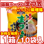 函館ラーメン まつ笠 濃厚味噌ラーメン お得な箱買い10袋入り(10人前) 藤原製麺 ご当地 インスタントラーメン 本生熟成乾燥麺 みそラーメン