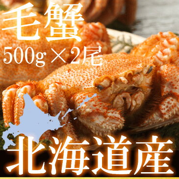 毛ガニ 北海道 500g×2尾【送料無料】北海道産 浜茹で毛蟹 500g×2尾【毛ガニ】【毛蟹】【毛がに】【かに】【カニ】【けがに】【かにみそ】【ギフト】【お歳暮】【smtb-TK】【1kg】【1キロ】