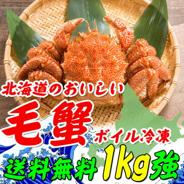 毛ガニ 北海道 500g×2尾【送料無料】北海道産 浜茹で毛蟹 500g×2尾【毛ガニ】【毛蟹】【毛がに】【かに】【カニ】【けがに】【かにみそ】【ギフト】【お歳暮】【smtb-TK】【1kg】【1キロ】kegani