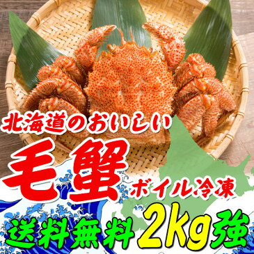 毛ガニ 北海道 500g×4尾【送料無料】北海道産 浜茹で毛蟹 500g×4尾【毛ガニ】【毛蟹】【毛がに】【かに】【カニ】【けがに】【かにみそ】【ギフト】【お歳暮】【smtb-TK】【2kg】【2キロ】kegani