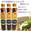 海藻サラダ お買い得) がごめ昆布 ドレッシング ノンオイル 200ml ×3本セット ※白ゴマ、しそ風味、大根おろし【RCP】