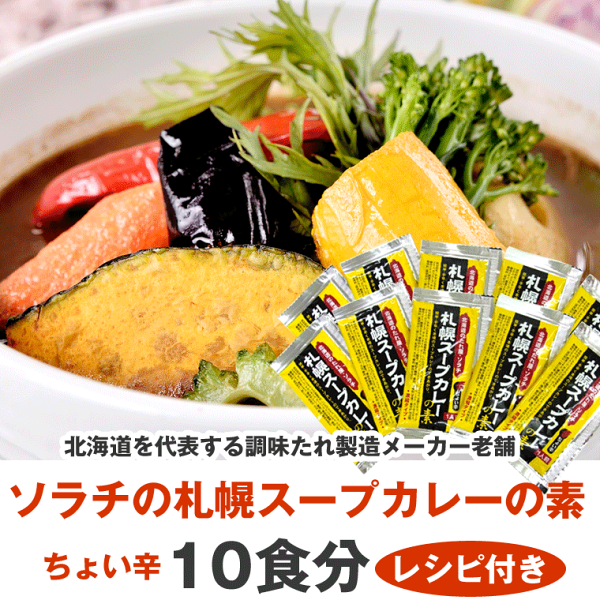 スープカレー札幌スープカレーの素10食分セットお取り寄せ北海道ソラチのスープカレー濃縮タイプメール便