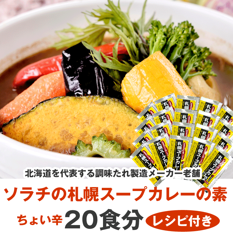 スープカレー 札幌 スープカレー の素 20食分 セット お取り寄せ 北海道 ソラチの スープカレー 濃縮タイプ メール便送料無料